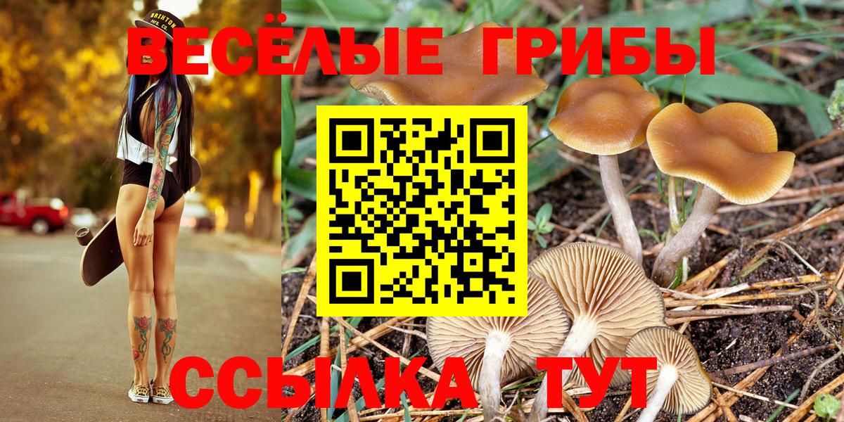 Нарткала  Псилоцибиновые грибы Cubensis  купить наркотик  Вход с VPN 
